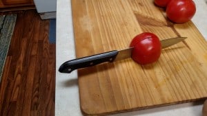 IMG_20151114_102531060